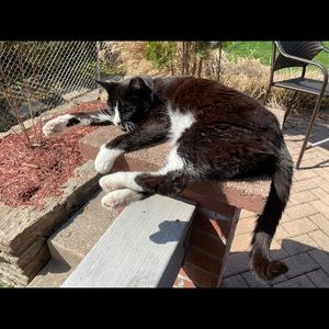 Meet your Posher, Tom